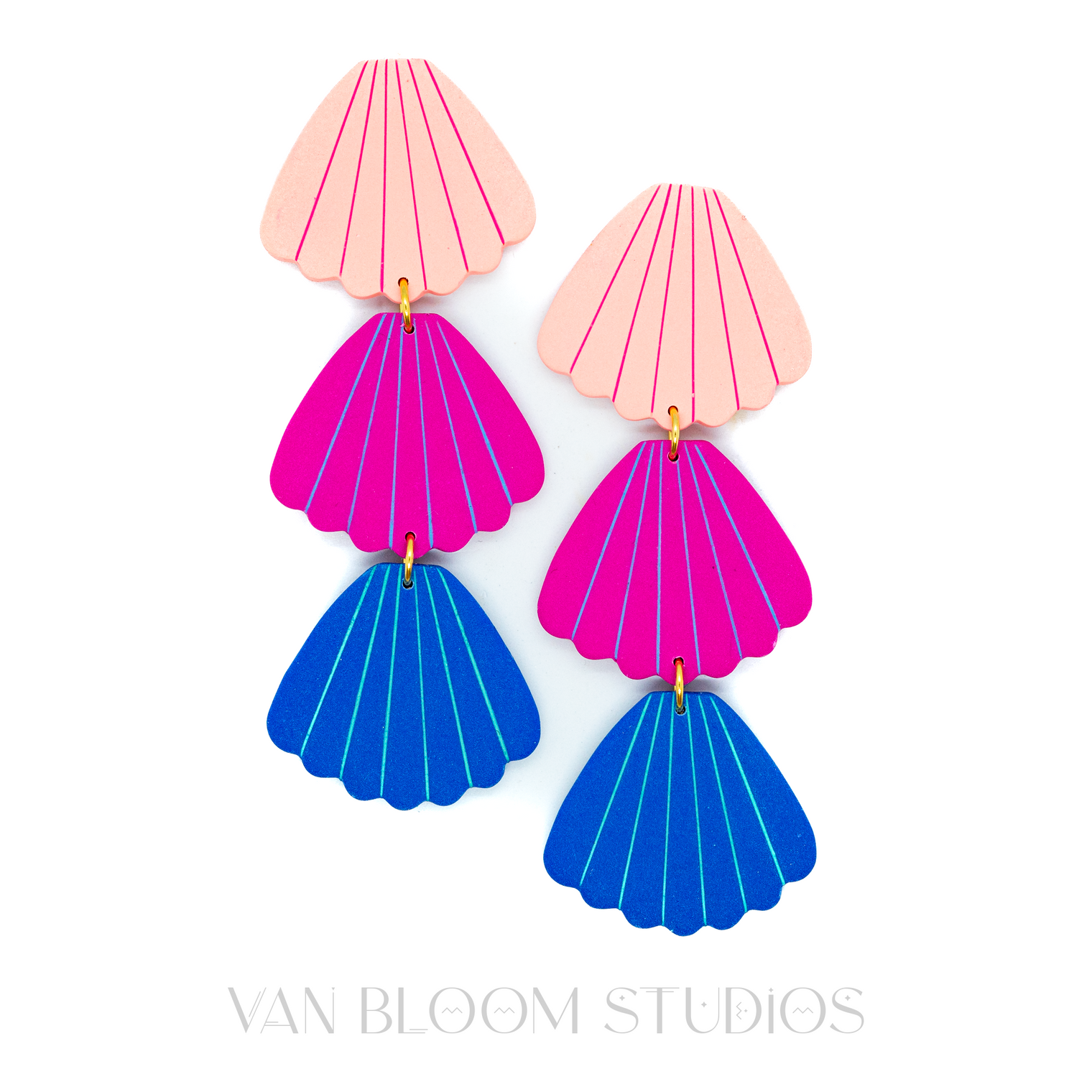 Sea Shells | Solstice