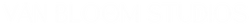 Van Bloom Studios