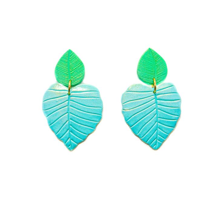 PRE ORDERS | Monsteras | Philodendrons