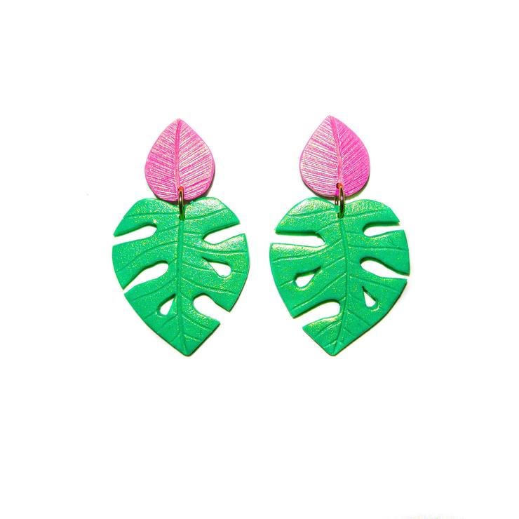 PRE ORDERS | Monsteras | Philodendrons