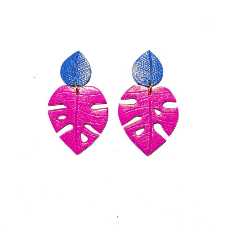 PRE ORDERS | Monsteras | Philodendrons