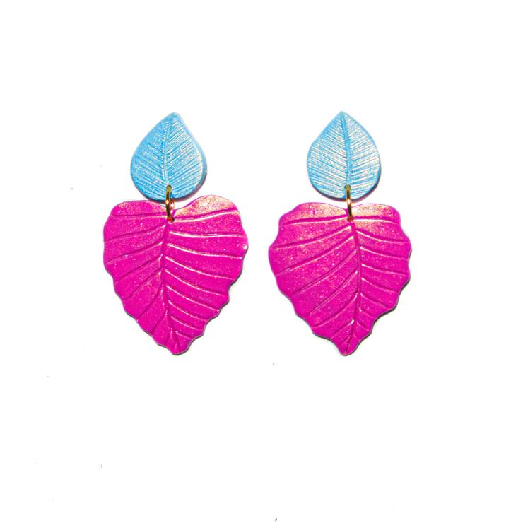 PRE ORDERS | Monsteras | Philodendrons