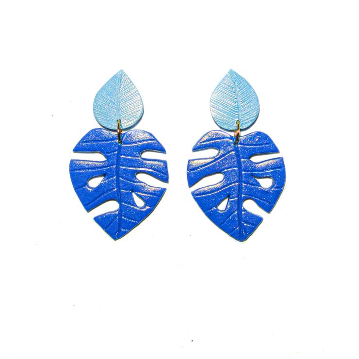 PRE ORDERS | Monsteras | Philodendrons