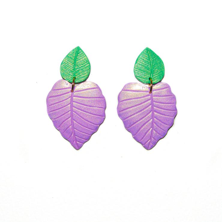 PRE ORDERS | Monsteras | Philodendrons