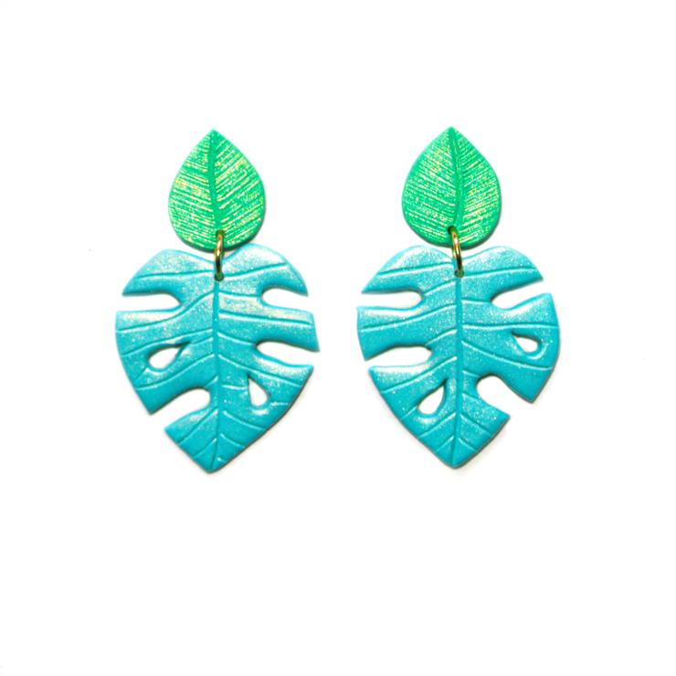 PRE ORDERS | Monsteras | Philodendrons