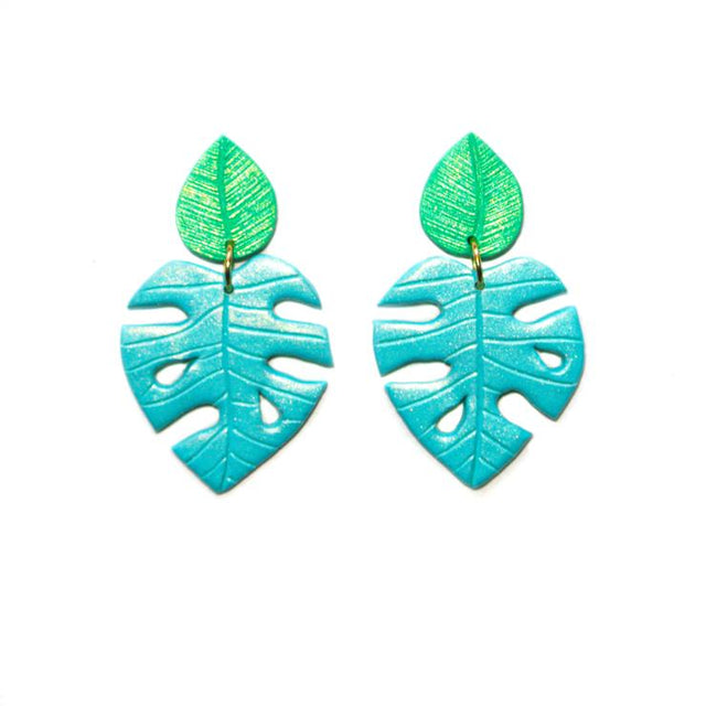 PRE ORDERS | Monsteras | Philodendrons