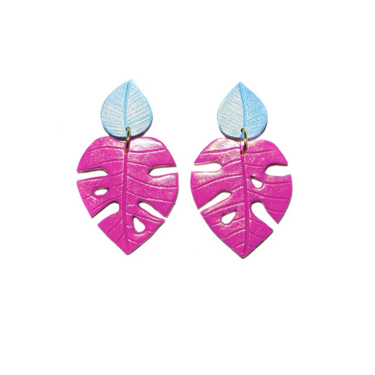 PRE ORDERS | Monsteras | Philodendrons