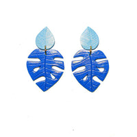 PRE ORDERS | Monsteras | Philodendrons