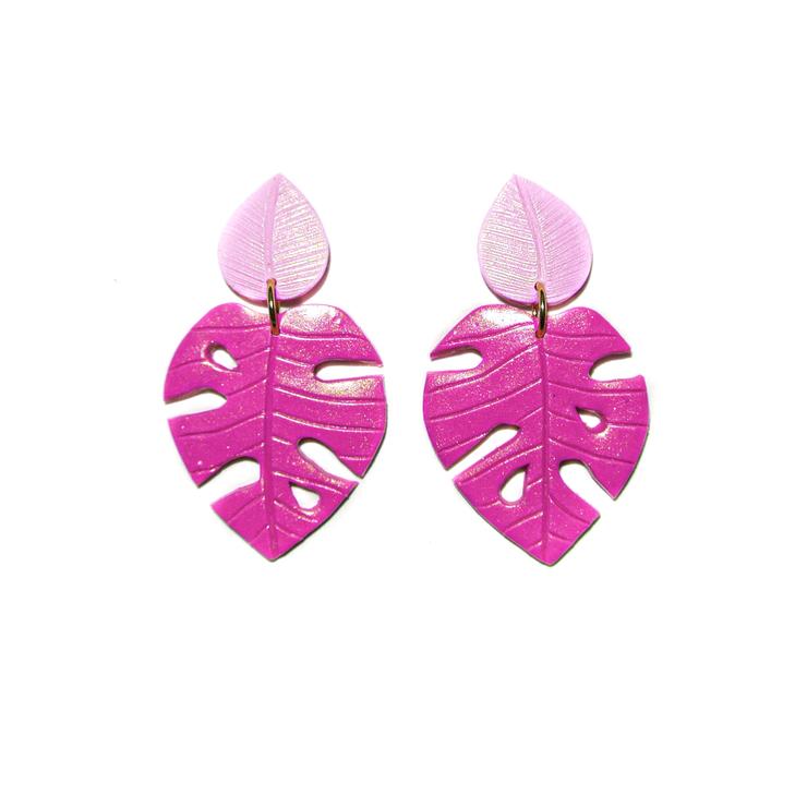 PRE ORDERS | Monsteras | Philodendrons